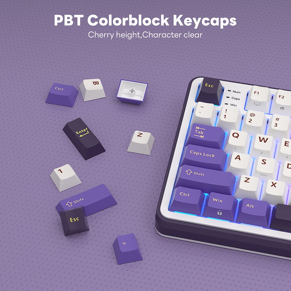 RK S98 ROYAL KLUDGE Wireless G - Gaming Keyboard Thocky 评论和价格